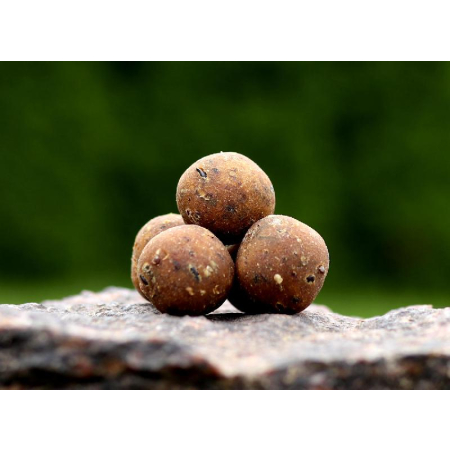 Kulki proteinowe BH 20mm Blue Squide 1kg